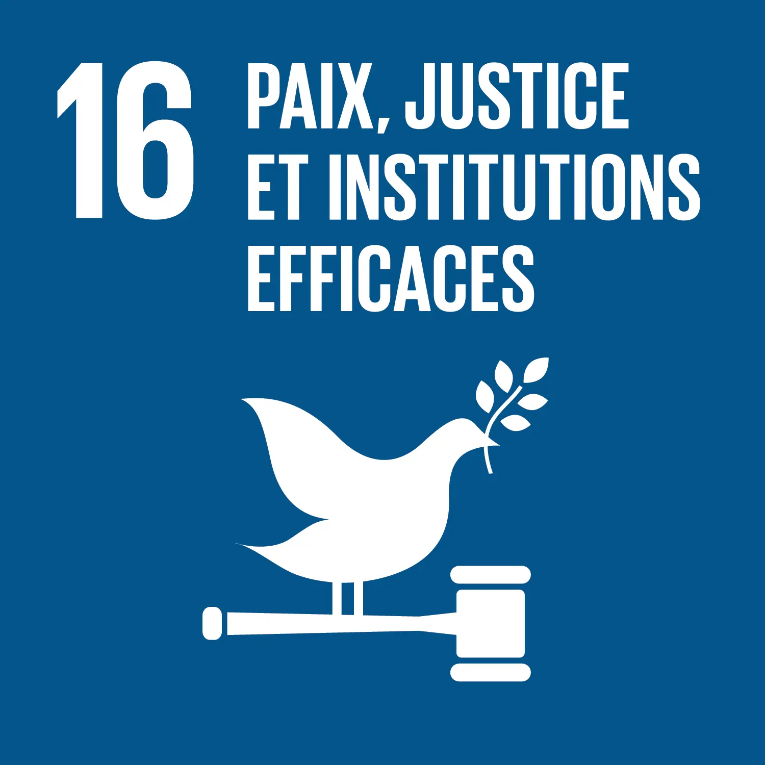 SDG 16. Paix, justice et institutions efficaces